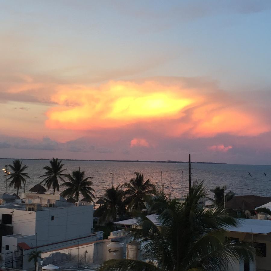The Mermaid Hostel Beach (Adults Only) كانكون المظهر الخارجي الصورة