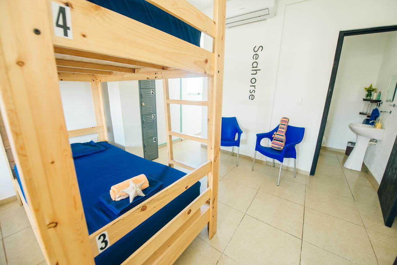 The Mermaid Hostel Beach (Adults Only) كانكون المظهر الخارجي الصورة