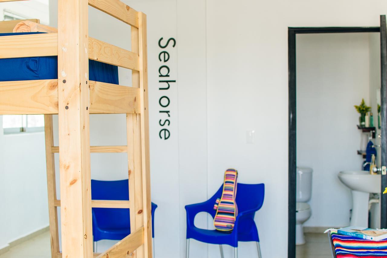 The Mermaid Hostel Beach (Adults Only) كانكون المظهر الخارجي الصورة