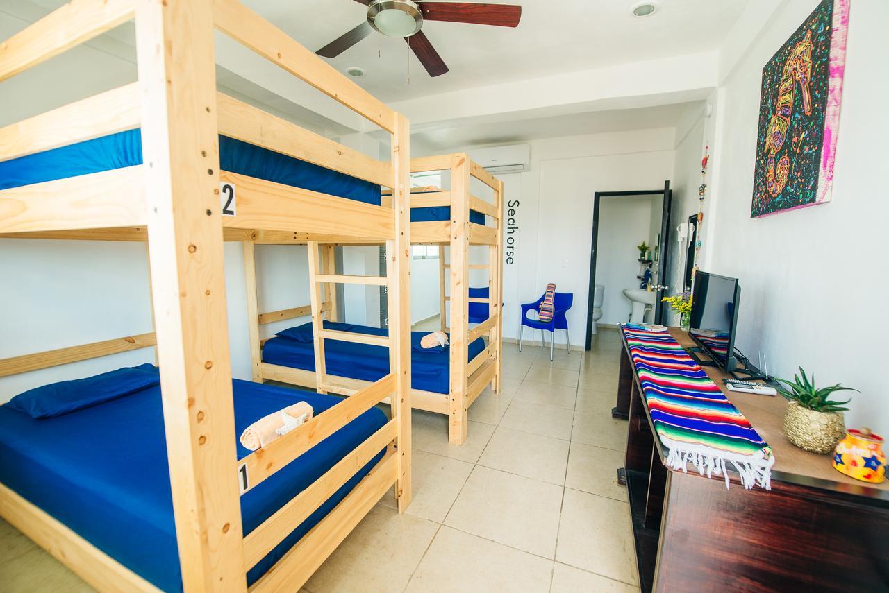 The Mermaid Hostel Beach (Adults Only) كانكون المظهر الخارجي الصورة