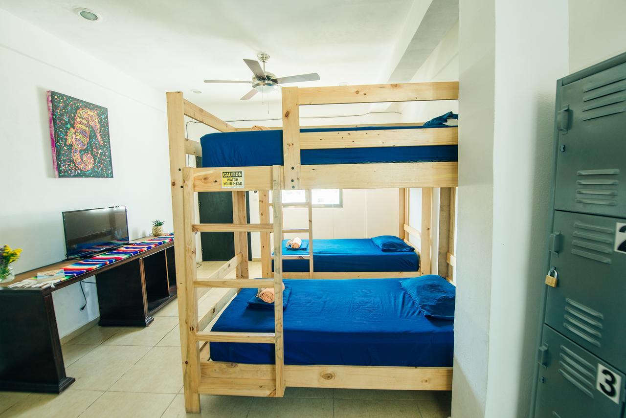 The Mermaid Hostel Beach (Adults Only) كانكون المظهر الخارجي الصورة